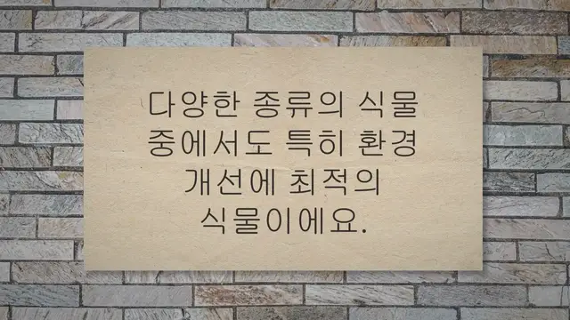 'Video thumbnail for 스킨답서스 키우기 13가지 조건과 방법'