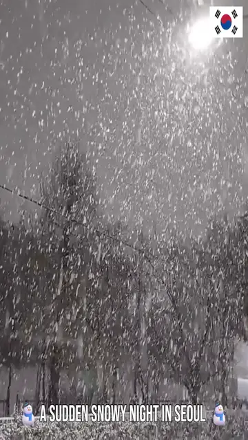 Video thumbnail for 🌨️ Surprise Snowfall! Seoul Turned White Overnight on January 23, 2026 ❄️✨