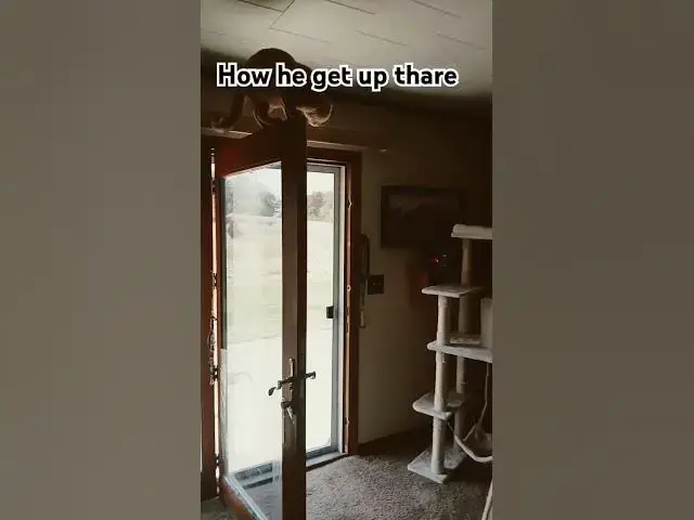 Video thumbnail for April 13, 2025