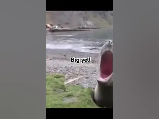 Video thumbnail for March 20, 2025