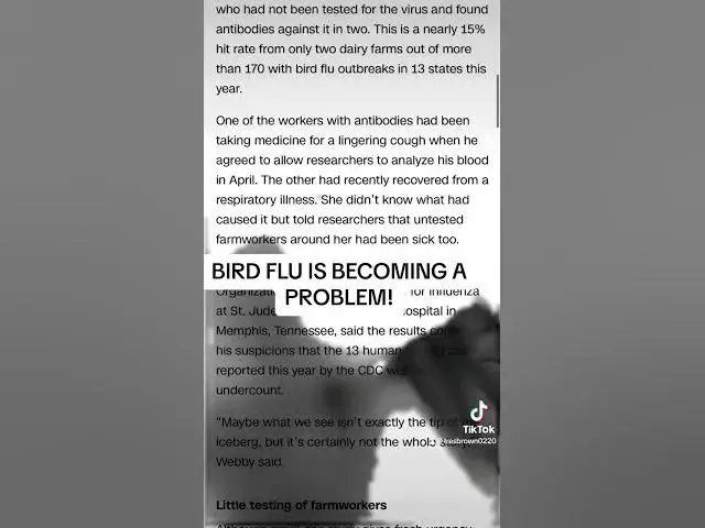 'Video thumbnail for BIRD FLU IS GOING UNDETECTED! 😱THIS IS A PROBLEM! #youtube #birdflu #august #summer'