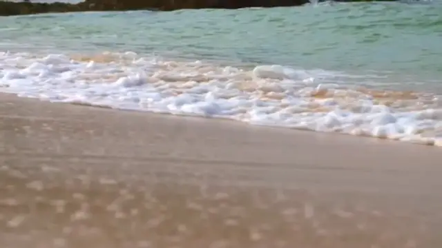 Video thumbnail for Relaxing music with Nature, Relax Mind Music