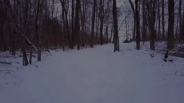 Video thumbnail for Winter Is Here! Snow and Freezing Cold Incoming – What to Expect This Season!