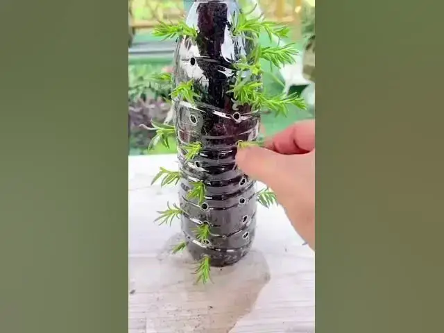 Video thumbnail for Suspension fleur avec bouteille #jardin #jardinage