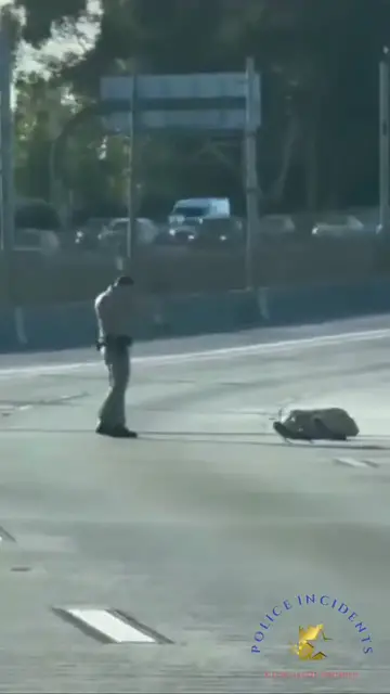 'Video thumbnail for Video shows California Highway Patrol officer shot and killed a man on the 105 Freeway in Watts'
