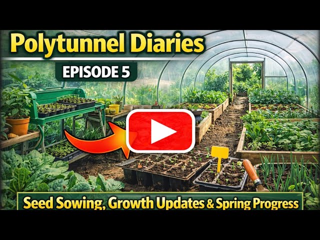 Video thumbnail for Polytunnel Diaries Episode 5 | Seed Sowing, Growth Updates and Garden Progress