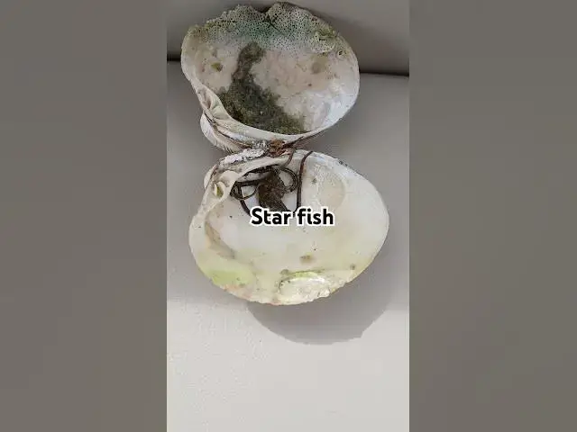 Video thumbnail for March 27, 2025