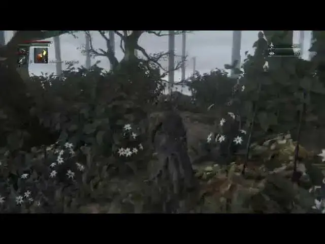 Video thumbnail for Bloodborne - Madman's Knowledge, 10 Insight Unlocks 2nd Bath Messenger Resonant & Sinister Bells