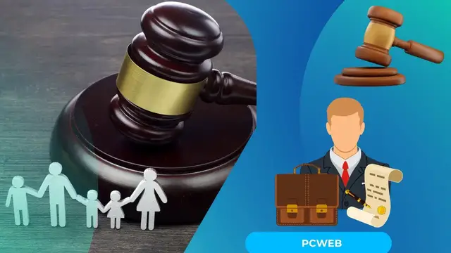Video thumbnail for Family Lawyer Career: video blog