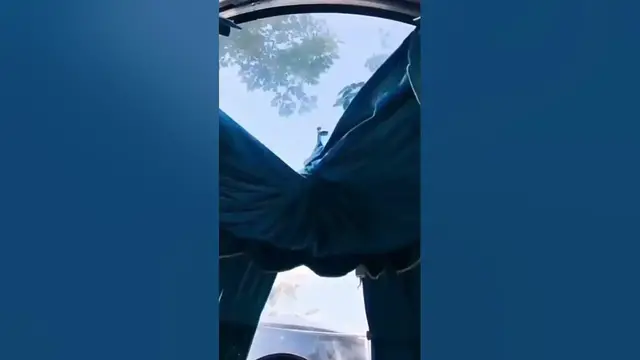 Video thumbnail for Outdoor Glass Room | Star Bedroom #shorts