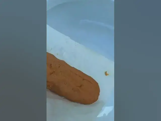'Video thumbnail for Flushable Wipes Simulated BM'