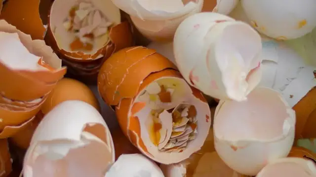 Video thumbnail for Never Throw Out Your Eggshells, And Here's Why