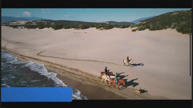 'Video thumbnail for What is Beach Tourism?'