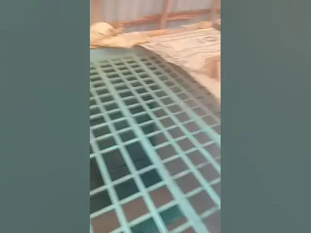 Video thumbnail for 7 November 2025