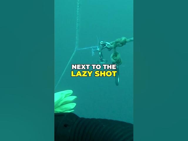 Video thumbnail for Safer Technical Diving with the Lazy Shot