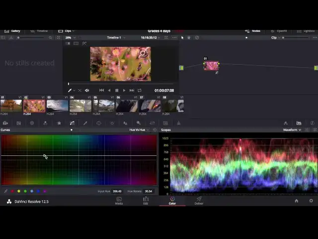 'Video thumbnail for DaVinci Resolve Color Grading Walkthrough and Editing Tutorial'