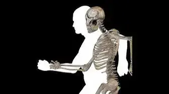 Video thumbnail for 10 Fascinating Bone Fun Facts Revealed Delve into the Wonders of the Skeletal System