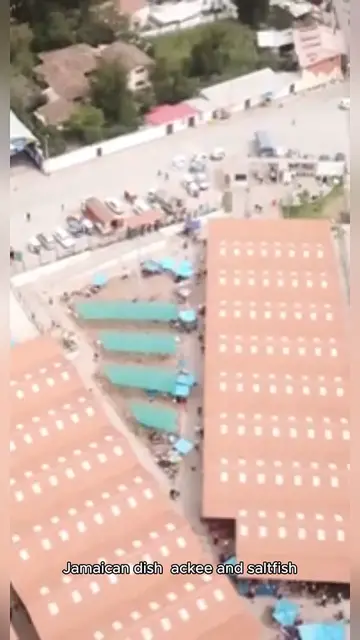 Video thumbnail for jemican ackee and saltfish