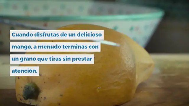 Video thumbnail for ¿Cómo germinar un simple grano de mango en una