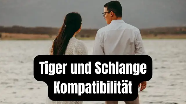Video thumbnail for Tiger und Schlange Kompatibilität