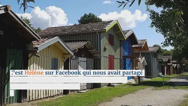 Video thumbnail for Curry_Zucchini_Pickles_Recipe