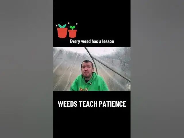 'Video thumbnail for 🎥 ✅ 🌱 Every Weed Has a Lesson 🌸 | Reflections from the Allotment Garden 🌿🎧'
