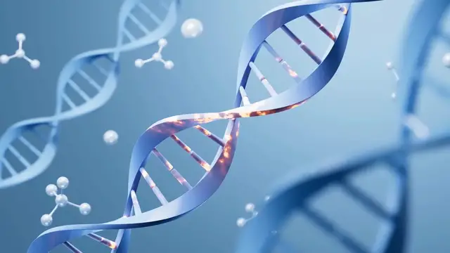 Video thumbnail for Fibrosis Quística: Entendiendo la Enfermedad y Sus Tratamientos