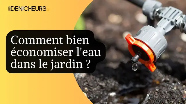 Video thumbnail for 💡 Les bons gestes pour économiser l'eau dans le jardin !🌾 💦