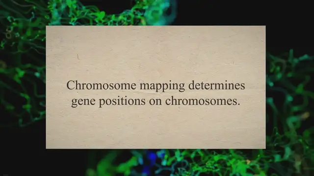'Video thumbnail for Chromosome Mapping – Definition, Types, Steps, Unit, Importance'