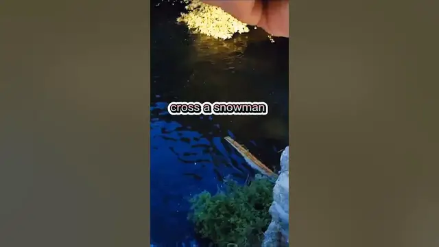 Video thumbnail for Fishing Joke 22 #jokes #fishingjokes #humor