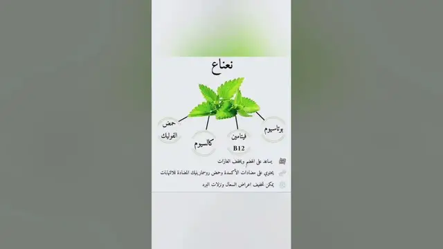 Video thumbnail for فوائد النعناع
