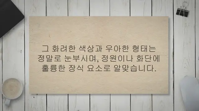'Video thumbnail for 아이리스 꽃 키우기, 구근, 물주기, 꽃말 19가지 노하우'