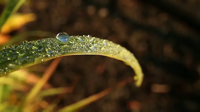 Video thumbnail for Raining