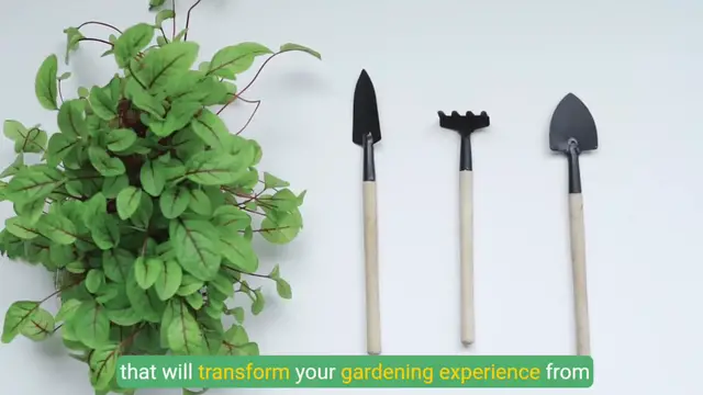 'Video thumbnail for Essential Gardening Tools for Beginners: Your Must-Have Guide'