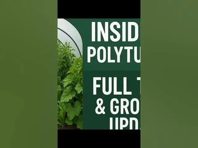 'Video thumbnail for 🌿 Inside My Polytunnel! Full Tour & Growing Update'
