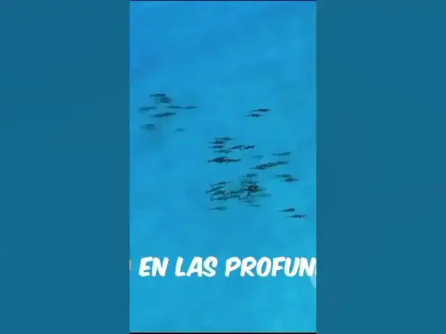 'Video thumbnail for Como creó Dios el mundo'