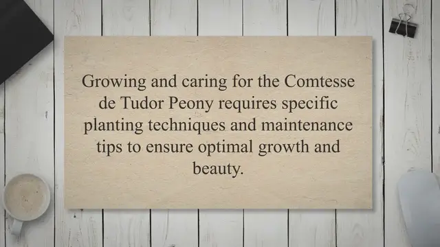 Video thumbnail for Comtesse de Tudor Peony: Nobility in Every Petal