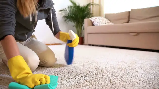 'Video thumbnail for How to Repair Burn Marks on Carpet'