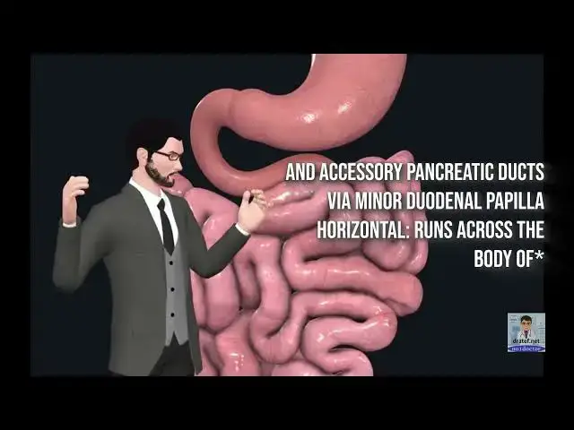Video thumbnail for Anatomy of Small Intestine  /Surgical Anatomy of the small intestine / Surgical Anatomy /no1doctor
