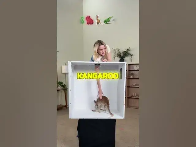 Video thumbnail for guest the animal