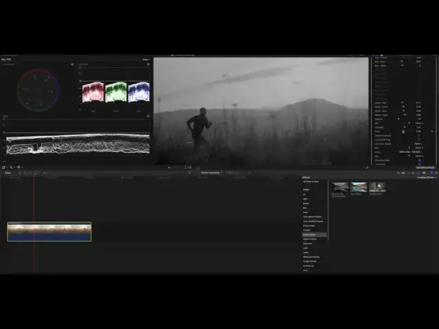 'Video thumbnail for Final Cut Pro - Monochromatic Plugin Tutorial by Michelangelo Torres'