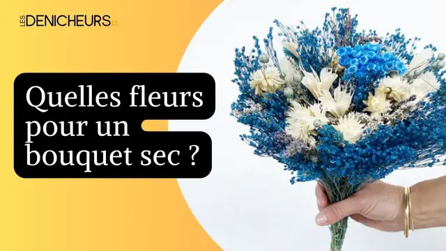 Video thumbnail for 🌺Quelles fleurs pour un bouquet sec ?💐