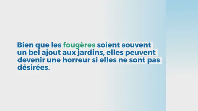 Video thumbnail for Comment nettoyer une friteuse : Dites adieu à la graisse