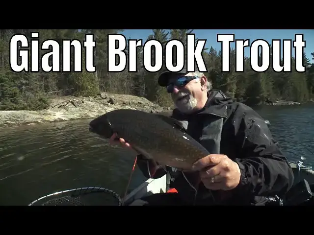 Video thumbnail for Giant Brook Trout In A Tiny Lake | Fish'n Canada