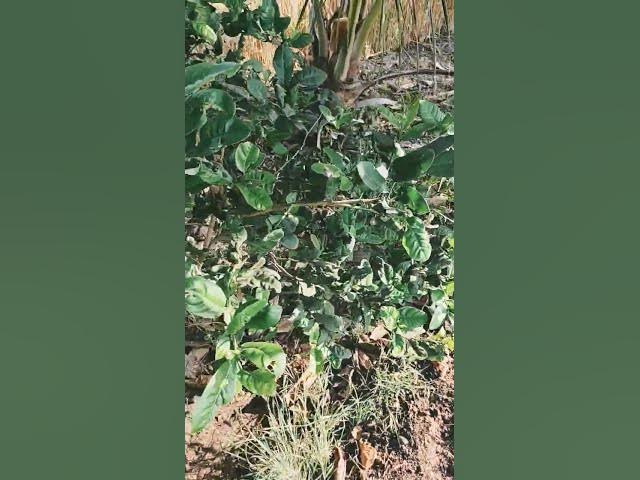 Video thumbnail for 2 March 2026