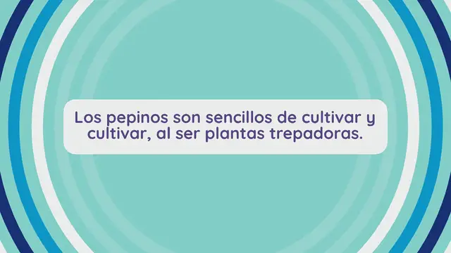 Video thumbnail for Pepinos: consejos sobre cómo cultivar pepinos