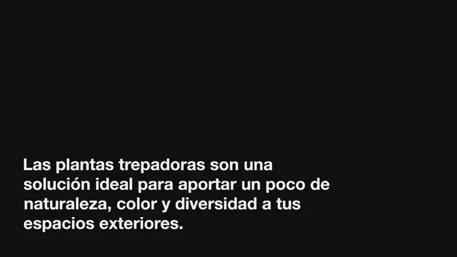Video thumbnail for Transforma tu jardín con estas 7 plantas trepadoras de rápido crecimiento