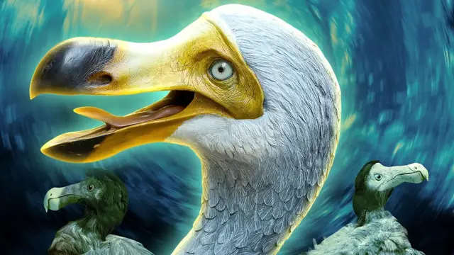 Video thumbnail for The Reason Dodo Birds Went Extinct