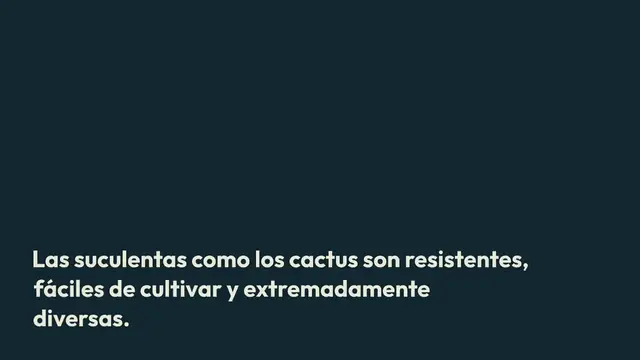 'Video thumbnail for Cactus lleno de flores, cómo hacer que produzca sin fin de forma natural'