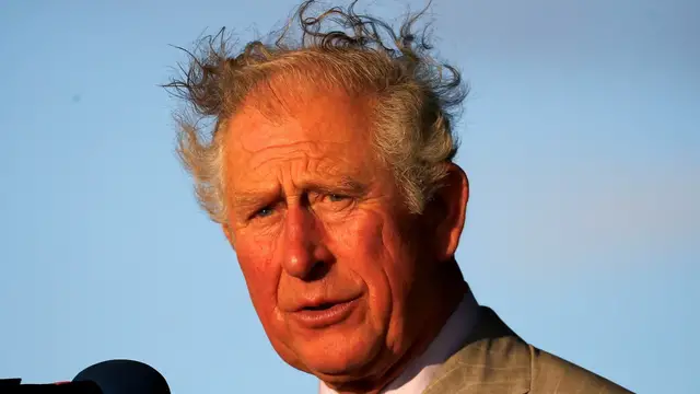 'Video thumbnail for The Biggest Royal Hair Mistakes Ever Caught On Camera'